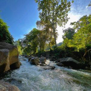 Castra Sahom Campsite