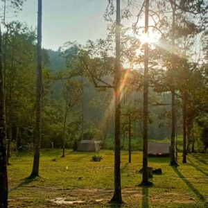 Marsha & The Bear Campsite, N9